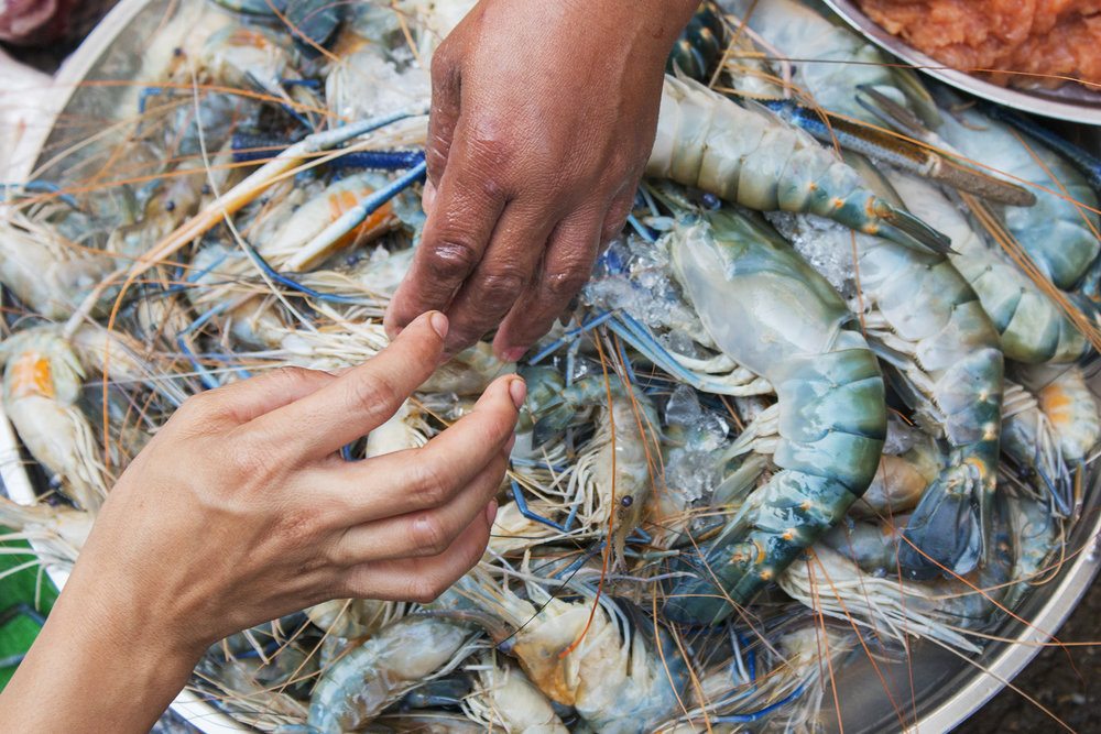 12x18_MarketShrimp-2.jpg