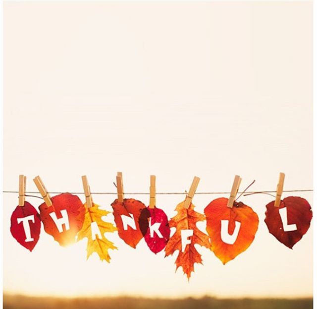 We are Thankful for all of you. Happy Thanksgiving. Closed tonight, back tomorrow